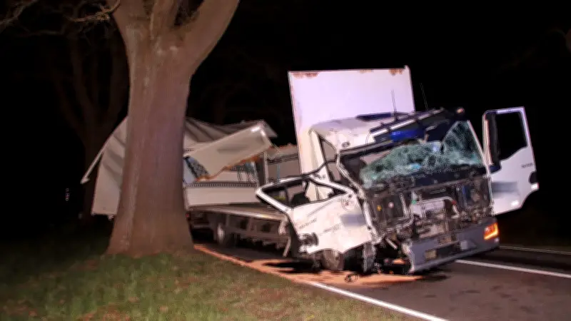 Lkw-Unfall auf B191 bei Eldena: Fahrer weicht Tier aus und prallt gegen Baum