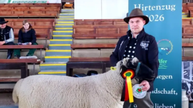 Luxus auf vier Beinen: Schafböcke aus Mecklenburg erzielen Höchstpreise bei Elite-Auktionen