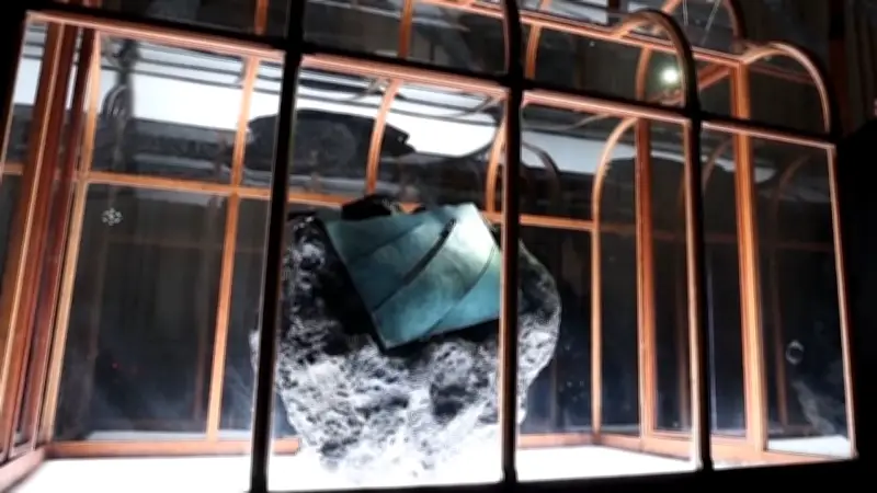 Luxus aus der Urzeit: T-Rex-Leder-Handtasche in Amsterdam zur Versteigerung