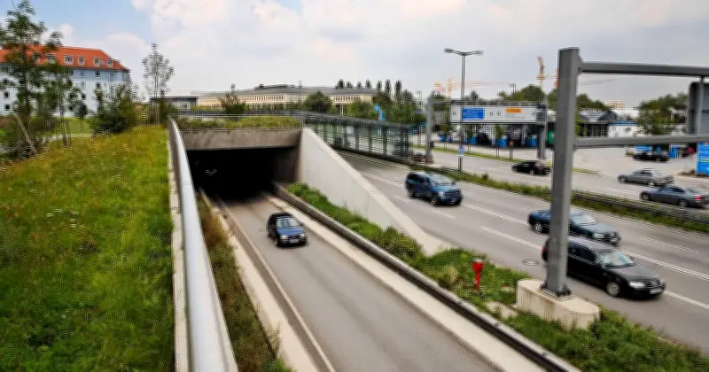 Löwen-Fans besprühen Tunnel am Mittleren Ring – 23.000 Euro Schaden