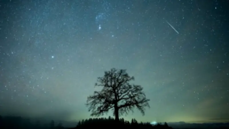 Lyriden-Sternschnuppen über Deutschland: Heute Nacht beginnt das himmlische Spektakel
