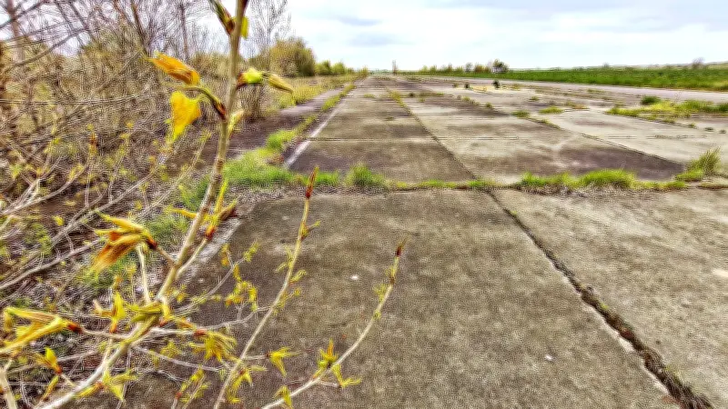 Mega-Projekt am Airpark: Rechenzentrum für Merseburg geplant