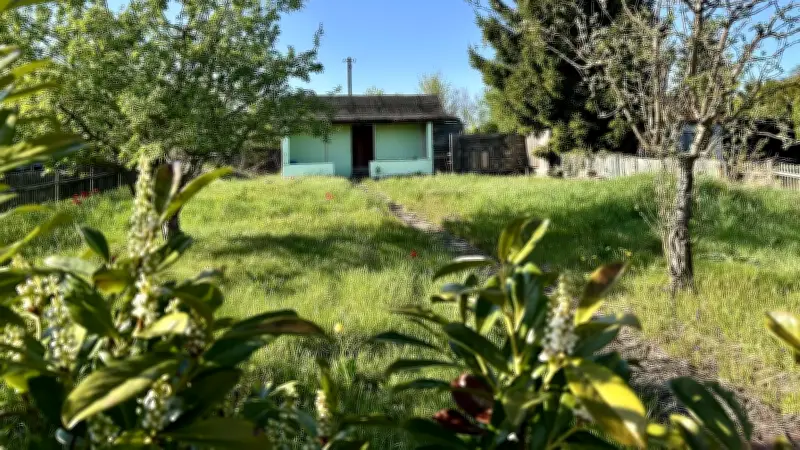 Merseburgs Kleingärten: Neuer Vorstand kämpft gegen Leerstand