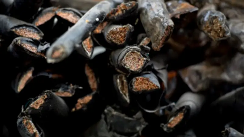 Metalldiebstahl-Serie in Lübtheen: Kupferrohre im Wert von Hunderten Euro gestohlen