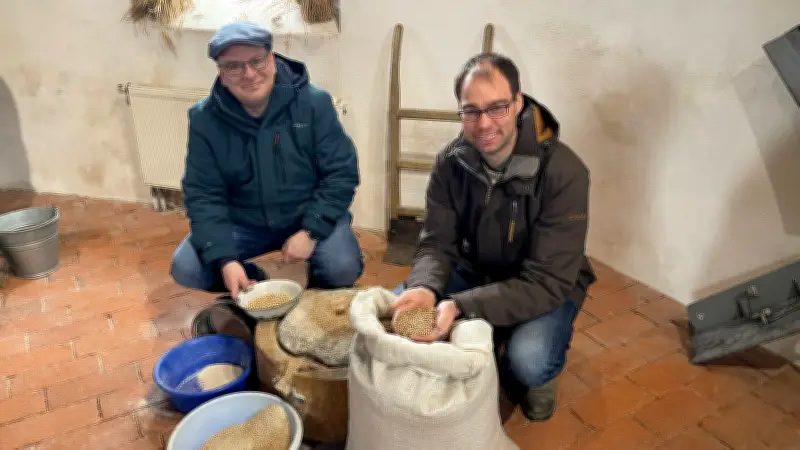 Mühlenwart in Woldegk startet Saison mit traditionellem Schaumahlen und Landwirt-Lieferung