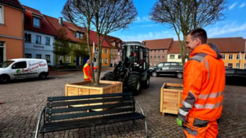Mobile Bäume: Weißdorne in Kübeln verschönern Röbels Marktplatz