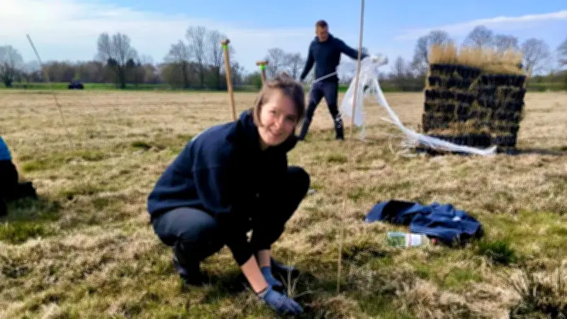 Moorschutz in der Müritzregion: 2000 Schilfpflanzen als Klimaschutz-Experiment gepflanzt