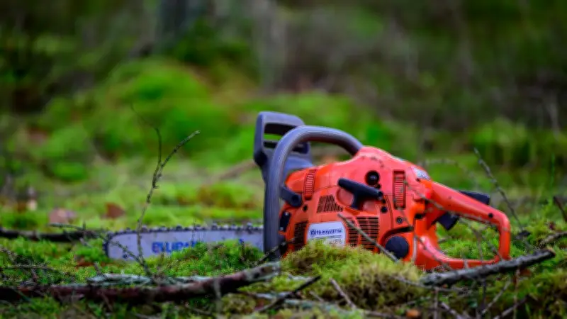 Motorsägenkurs in Neustrelitz: Brennholz selbst fällen und sicher bearbeiten lernen