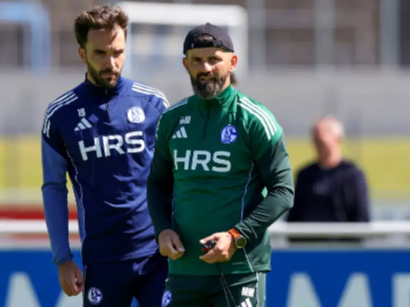 Muslic warnt vor Platzsturm: Dzeko kehrt in den Kader zurück