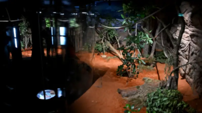 Mysteriöse Attacke in Stuttgarter Wilhelma: Kinder (3, 6) verletzt