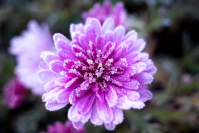 Nach Ostern: Sonnige Tage und frostige Nächte in Mecklenburg-Vorpommern
