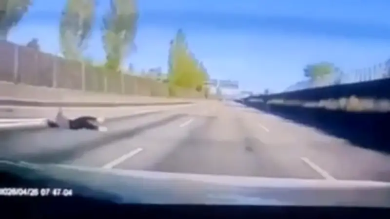 Nach Sex-Club-Besuch: Mann springt bei Tempo 80 aus Taxi auf Autobahn