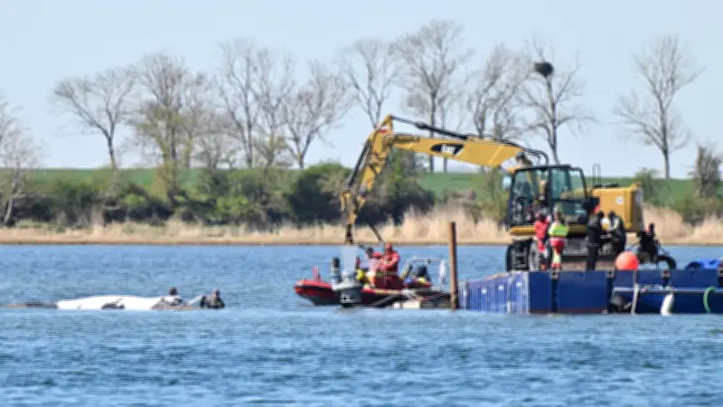 Naturschützer kritisieren Walrettung vor Poel: Leiden des Buckelwals Timmy dauert zu lang