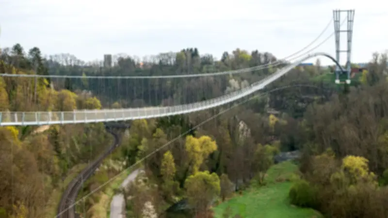 Neckarline: Baden-Württembergs längste Hängebrücke eröffnet