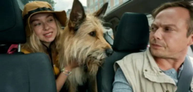 Netflix-Film 'Eat Pray Bark': Tierärztin enthüllt die Wahrheit hinter den Hunde-Trainern