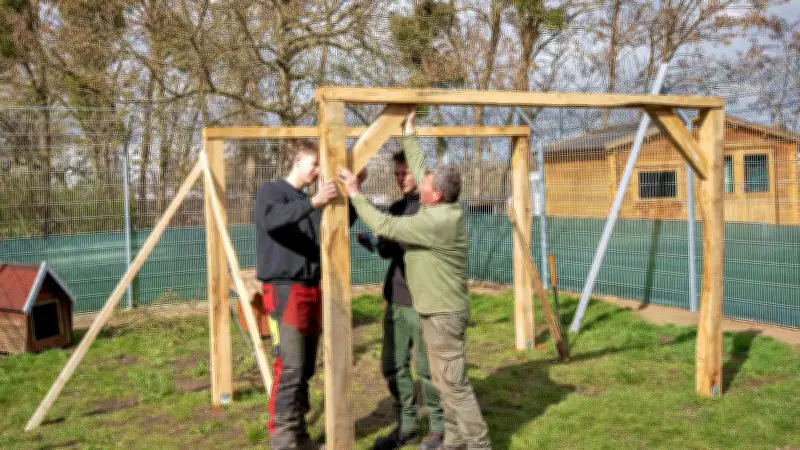 Neuer Wetterschutz für Katzenpark: Forstamt Dessau hilft Tierheim mit Holzbau