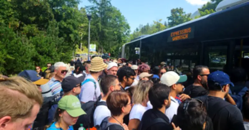 Neues Bus-Konzept am Eibsee: Komplexes System soll Verkehrschaos in Grainau beenden