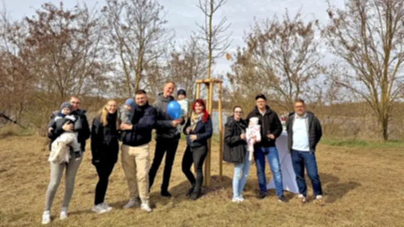 Neugeborenen-Bäume in Sandersdorf-Brehna: Junge Tradition wächst weiter