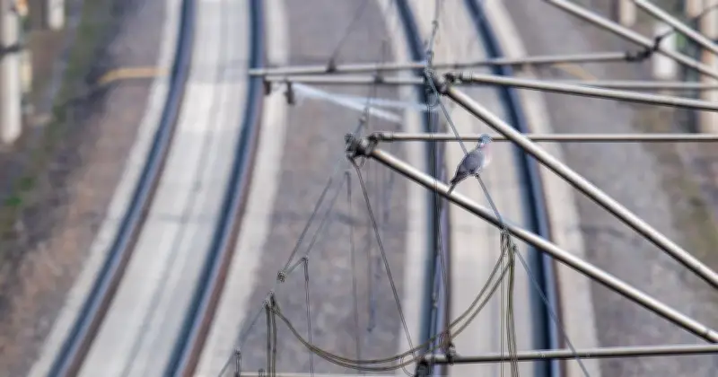 Oberleitungsschaden in Ulm: Bahnverkehr massiv gestört