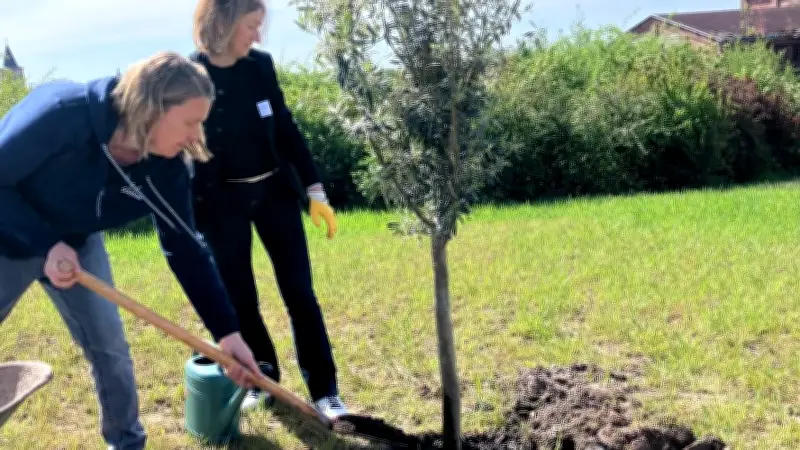 Olivenbäume und „Blauer Bernburger“ bereichern Bernburger Weinberg
