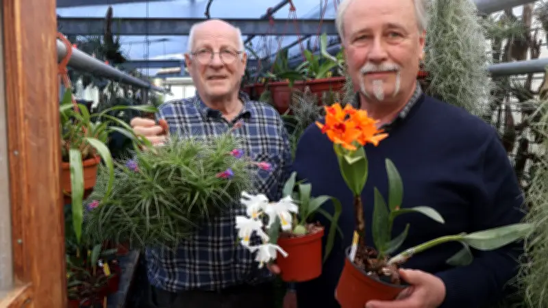 Orchideen-Umtopftag in Schwerin: Experten geben Pflegetipps für exotische Blütenpracht