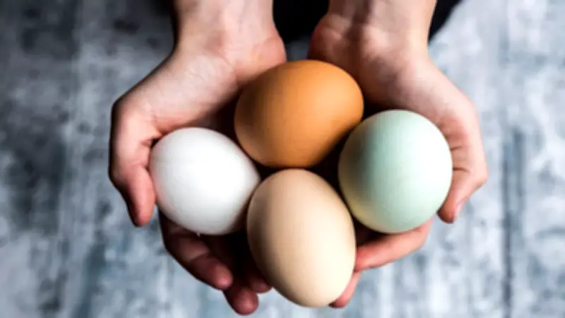 Oster-Ei-Inspiration: Globale Rezepte jenseits klassischer gekochter Eier