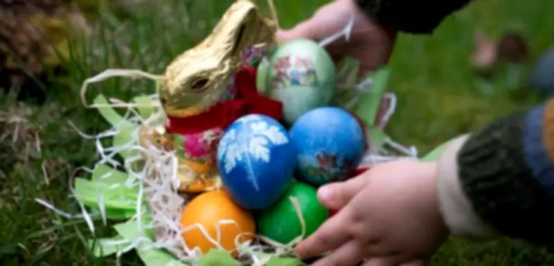 Oster-Eier-Krise: Engpässe und steigende Preise belasten den Markt