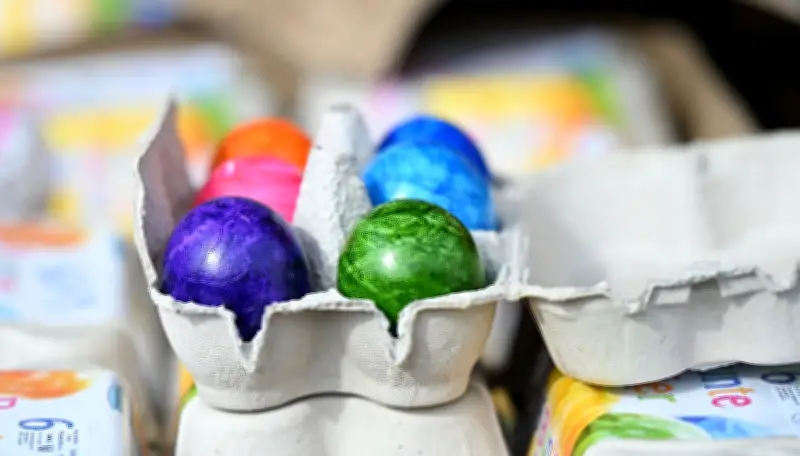 Oster-Engpass: Eierknappheit in Deutschland durch Tierseuchen und steigende Nachfrage