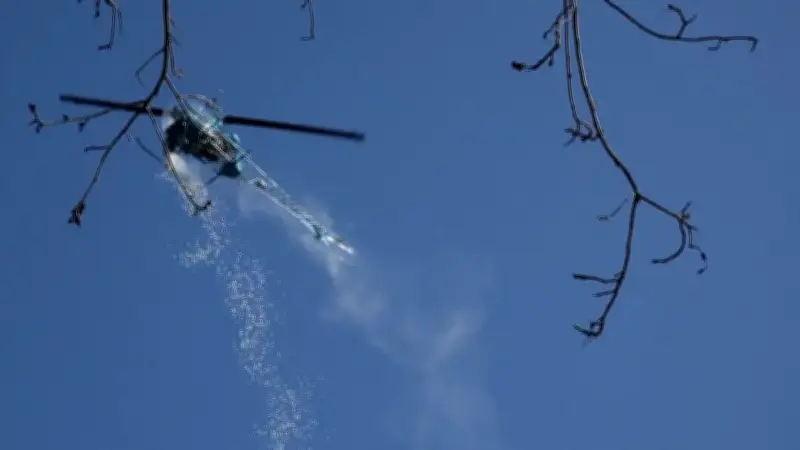 Oster-Spektakel in Michigan: Hubschrauber verwandelt Parks in Marshmallow-Paradies