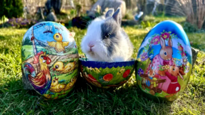 Osterdekorationen in Bernburg: Hasenalarm und bunte Vorgärten zum Fest