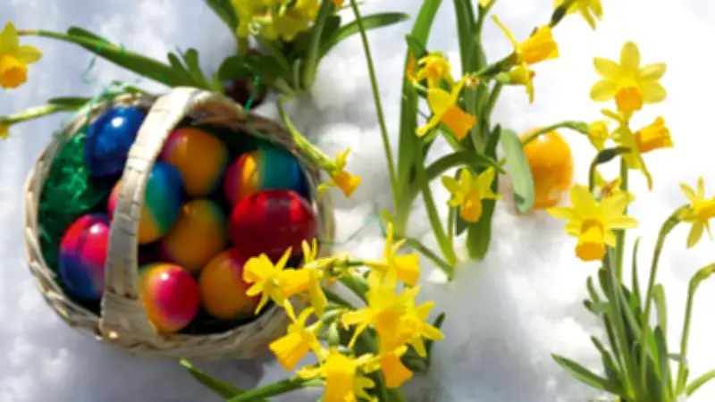 Ostereier basteln: Warum Sie Eier niemals mit dem Mund auspusten sollten