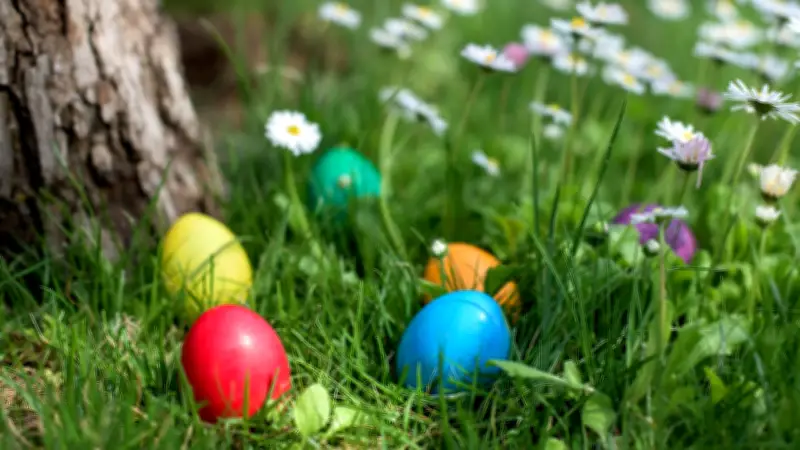 Ostereier-Suche mal anders: Drei außergewöhnliche Orte für ein unvergessliches Osterabenteuer