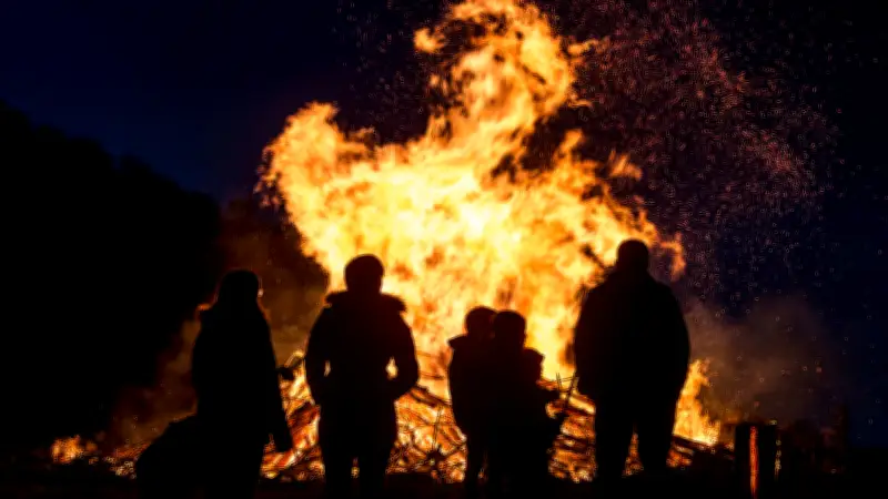 Osterfeuer als Todesfalle: So schützen Sie Igel und andere Wildtiere vor den Flammen