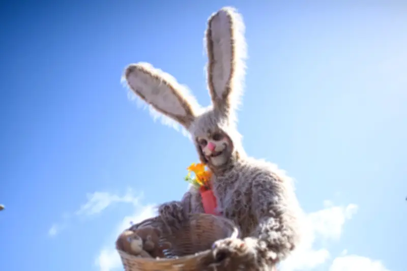 Osterhasen zur Miete: Das anstrengende Leben hinter dem flauschigen Kostüm
