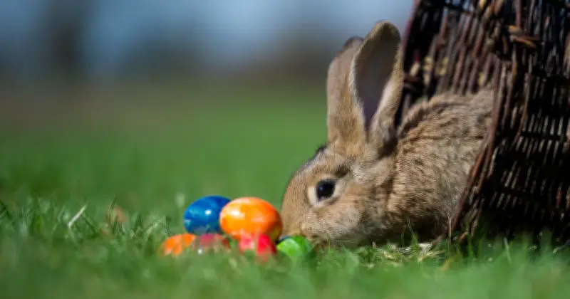 Ostern 2026: Die tiefere Bedeutung der Karwoche und Osterfeiertage