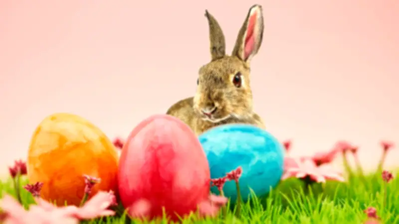 Ostern verstehen: Die tiefere Bedeutung der christlichen Feiertage und ihre Traditionen