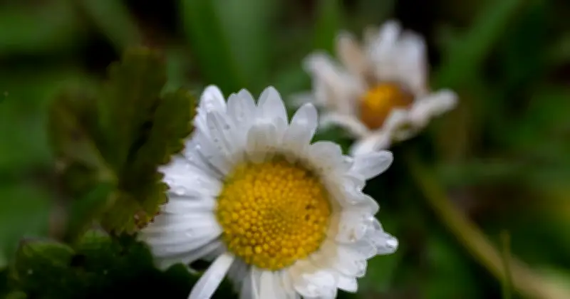 Osterwetter in Bayern: Sonne, Schauer und stürmische Böen zum Fest