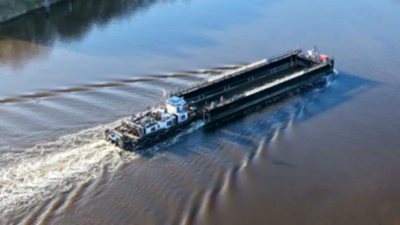 Ostsee-Wal-Rettung: Helfer planen Gurt-Einsatz für Buckelwal vor Poel