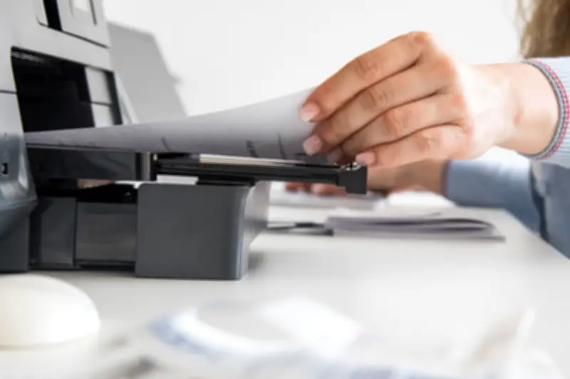 Papier-Siegel im Vergleich: So schonen Sie Ressourcen und erkennen nachhaltige Labels