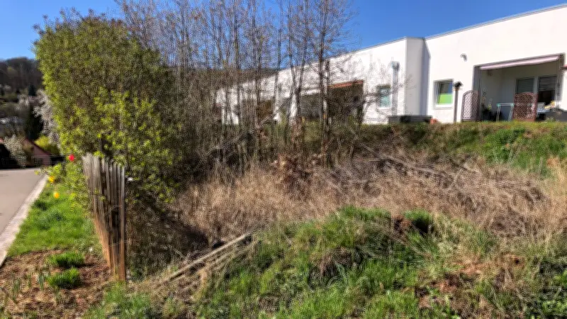 Parkplatznot im Seniorenwohnpark: Bad Suderodes Bewohner fordern Lösungen für mehr Mobilität