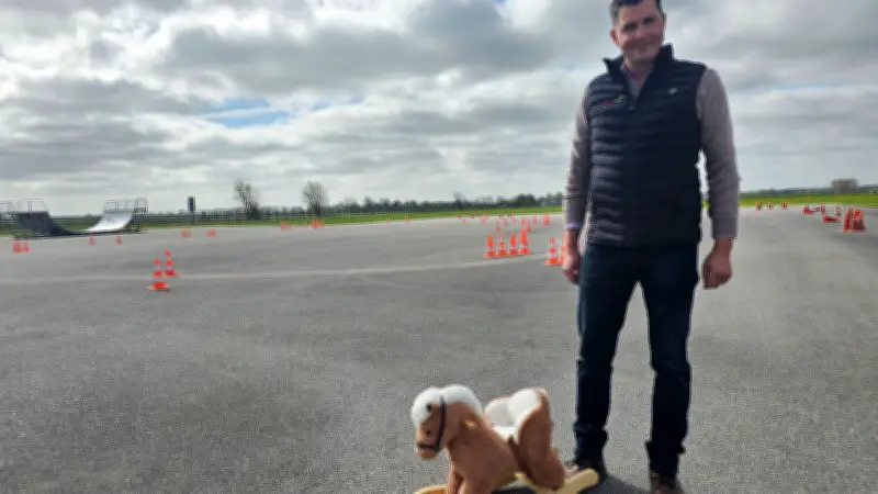 Pferdemarkt auf dem Anklamer Flugplatz: Tiere, Händler und Attraktionen