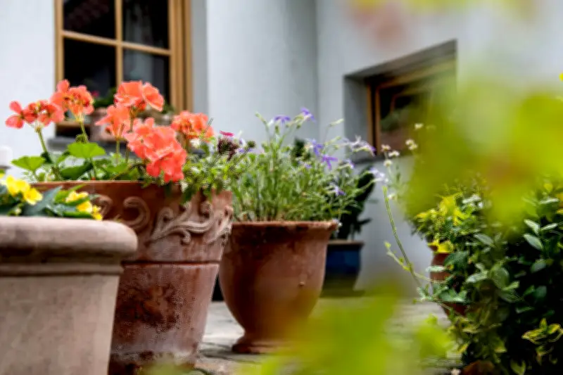 Plastik im Garten vermeiden: So schützen Sie Boden und Umwelt nachhaltig