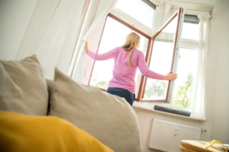 Pollen in der Wohnung: So schaffen Allergiker eine pollenfreie Zone