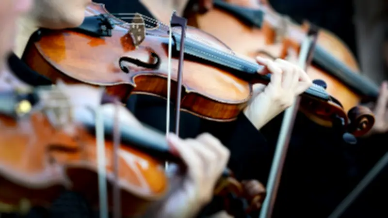 Preußisches Kammerorchester unter Schock: Konzerte nach plötzlichem Tod langjähriger Musikerin abgesagt