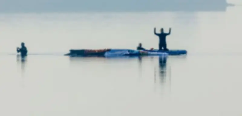 Private Rettungsaktion für gestrandeten Buckelwal auf Poel: Luftkissen und Pontons im Einsatz