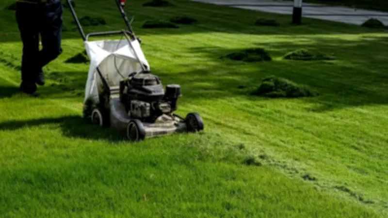 Rasenduft ist ein Alarmsignal: Gräser senden SOS