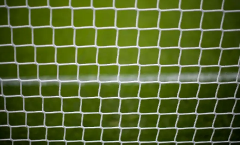 Rehbock in Fußballtornetz verfangen: Platzwart und Polizei retten Tier in Reinsdorf