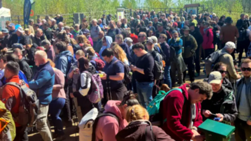 Rekordandrang zur Saisoneröffnung der Harzer Wandernadel