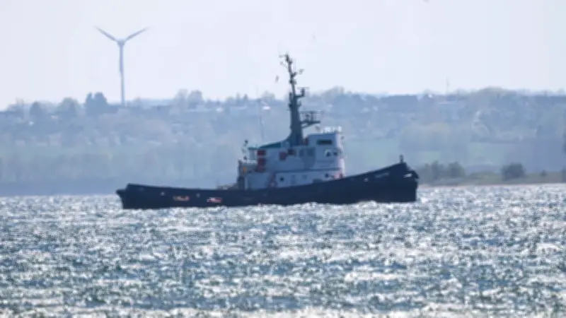 Rettung von Timmy: Kommt er morgen endlich frei?