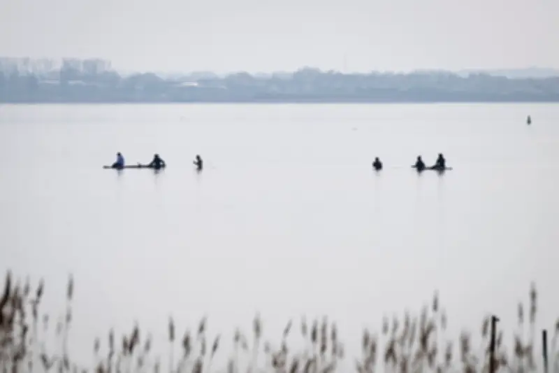 Rettungsaktion für gestrandeten Buckelwal vor Poel: Ausgang ungewiss